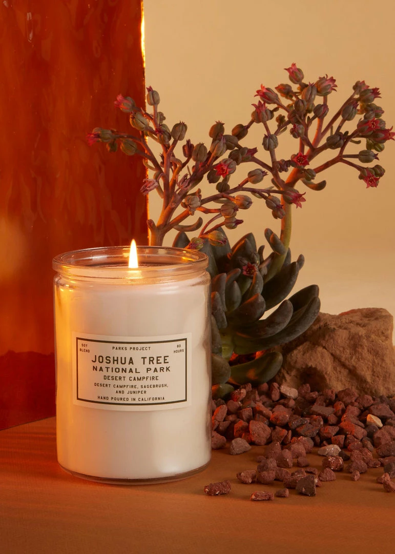 Parks Project Joshua Tree Desert Campfire Candle Home Page 1 Parks Project Joshua Tree Desert Campfire Candle Home Page
