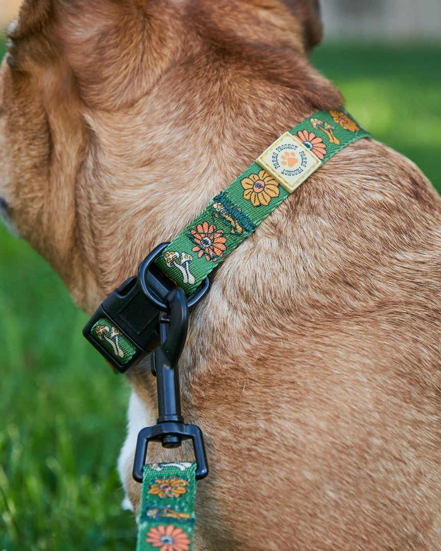 Parks Project Home Page Power To The Parks Shrooms Dog Collar