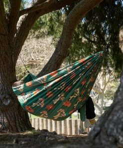 Parks Project Shrooms Two Person Hammock Camping Gear