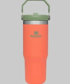 Stanley Iceflow Flipstraw Tumbler | 30 OZ Camping Gear