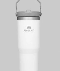 Stanley Iceflow Flipstraw Tumbler | 30 OZ Camping Gear